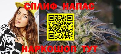 сатива Малгобек