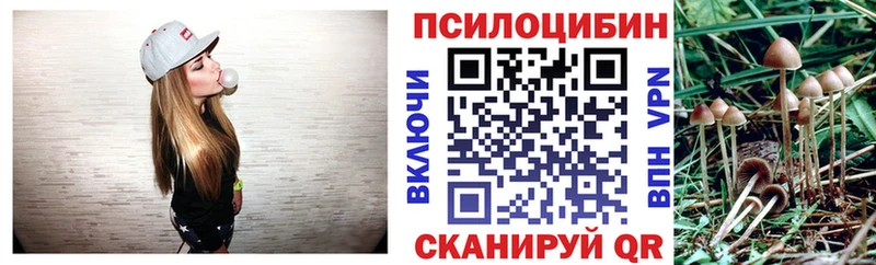 Псилоцибиновые грибы GOLDEN TEACHER shop состав Екатеринбург